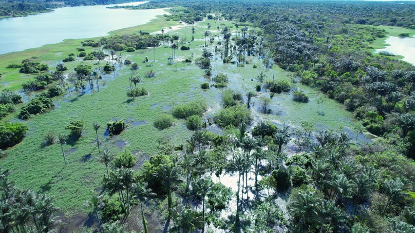 Amazon River In Manaus Amazonas Brazil. Stunning River Winds Through A Lush Tropical Rainforest. Forest Flyover Amazon Green. Wilderness Panorama. Manaus Amazonas.