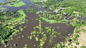 Amazonian River In Manaus Amazonas Brazil. River Flowing Through Lush Green Forest Landscape. Travel Environment Wilderness Jungle. Travel Exterior Rainy Season. Manaus Amazonas. - Powered by Shutterstock - Get 15% off with code: PIKWIZARD15
