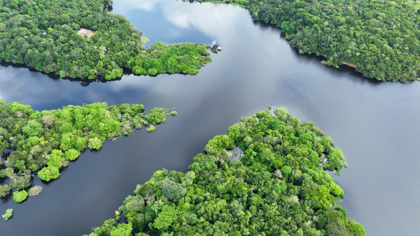 Amazonian Rainforest In Manaus Amazonas Brazil. Stunning River Winds Through A Lush Tropical Rainforest. Forest Flyover Amazon Green. Wilderness Panorama. Manaus Amazonas.
