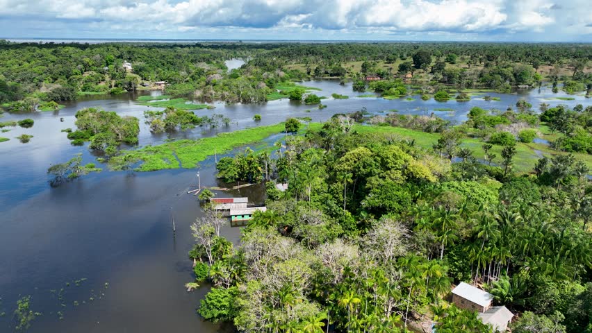 Amazon Forest In Manaus Amazonas Brazil. Amazon Rainforest Showing River Winding Dense Jungle. Travel Trees Wilderness Jungle. Wilderness Amazon Rainy Season. Manaus Amazonas.