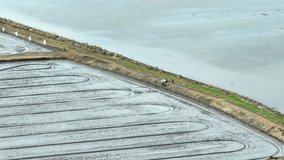 A drone disperses rice seeds over prepared fields, promoting resource conservation and sustainable rice farming with minimal manual intervention.
 - Powered by Shutterstock - Get 15% off with code: PIKWIZARD15