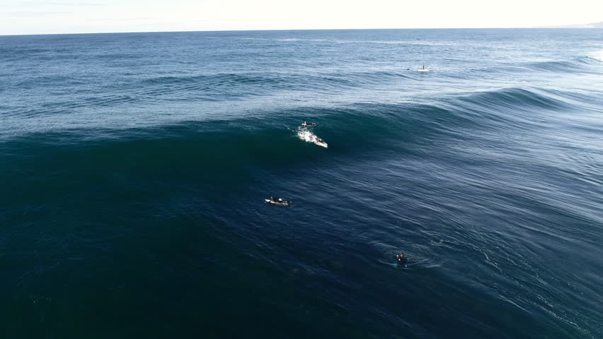 Surfer group floats calmly near point break as rolling waves form in golden hour water, aerial wide view