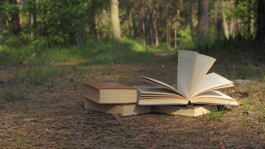 Books on forest ground with open pages in peaceful natural clearing, Literature resting on pine needles and grass in quiet wooded landscape under sunlight
