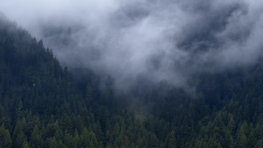 Timelapse of turbulent clouds and fog drifting through a evergreen mountain forest in overcast lighting in Pitt-Addington Marsh, British Columbia. Serene atmosphere in late November solitude.
