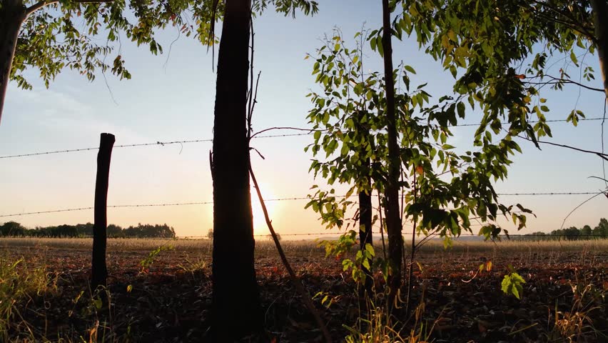 Sunset Sky In Ribeirao Preto Sao Paulo Brazil. Stunning Countryside Life Landscape Viewed From Above. Countryside Agricultural Rural Field. Countryside Rural Sky. Ribeirao Preto Sao Paulo.