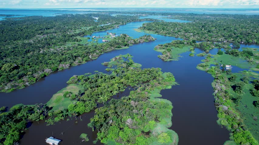 Amazon Forest In Manaus Amazonas Brazil. River Flowing Through Lush Green Forest Landscape. Guyana River Forest Trees Lake. Jungle Forest Trees Travel. Manaus Amazonas.