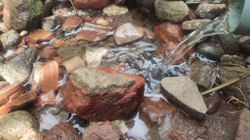 Water flows from a pipe onto wet rocks and soil, surrounded by mossy stones and red bricks, depicting drainage, nature interaction, and rustic outdoor environment.