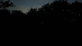 An epic train window view of the golden sun glowing through trees against a dark sunset sky.moving train and sunset during summer evening.travel concept.lifestyle concept.nomad concept - Powered by Shutterstock - Get 15% off with code: PIKWIZARD15