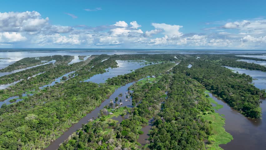 Amazonian Rainforest In Manaus Amazonas Brazil. Amazon Rainforest Showing River Winding Dense Jungle. Forest Trees Amazon Green. Forest Wilderness Rainy Season. Manaus Amazonas.
