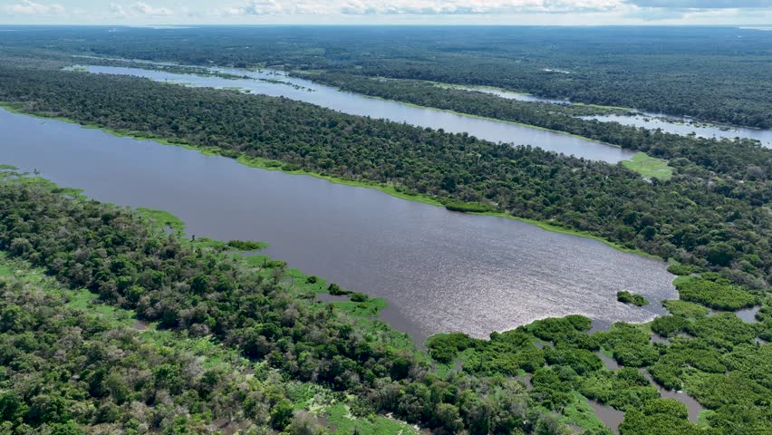 Amazonian Rainforest In Manaus Amazonas Brazil. Amazon Rainforest Showing River Winding Dense Jungle. Forest Environment Amazon Green. Beautiful Day Amazon Rainy Season. Manaus Amazonas.