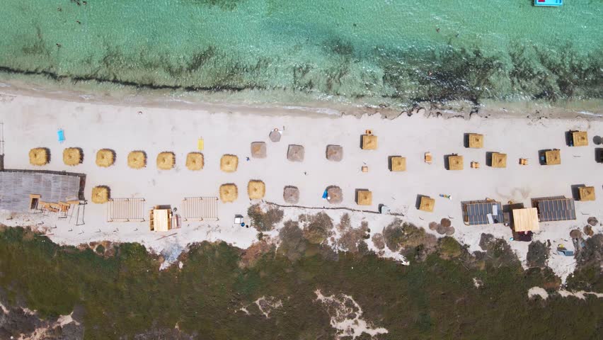 A beach in a tropical country with many umbrellas set up for visitors to enjoy their day. There are also lots of boats visible near the shore. The beach is filled with palm trees.