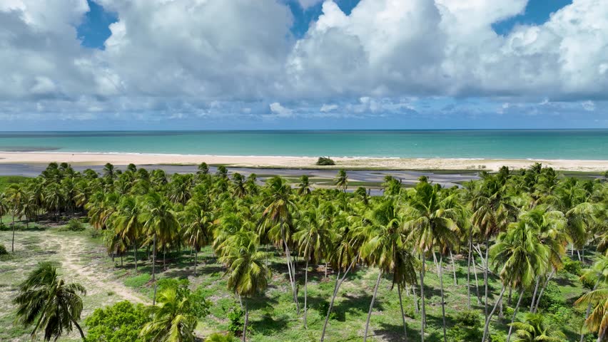 River Scenery In Rio Do Fogo Rio Grande Do Norte Brazil. Breathtaking Aerial View Of A Lush Tropical Coastline Scenery. Shore Horizon Beach Sea. Seaside Panning Wide. Rio do Fogo Rio Grande do Norte.