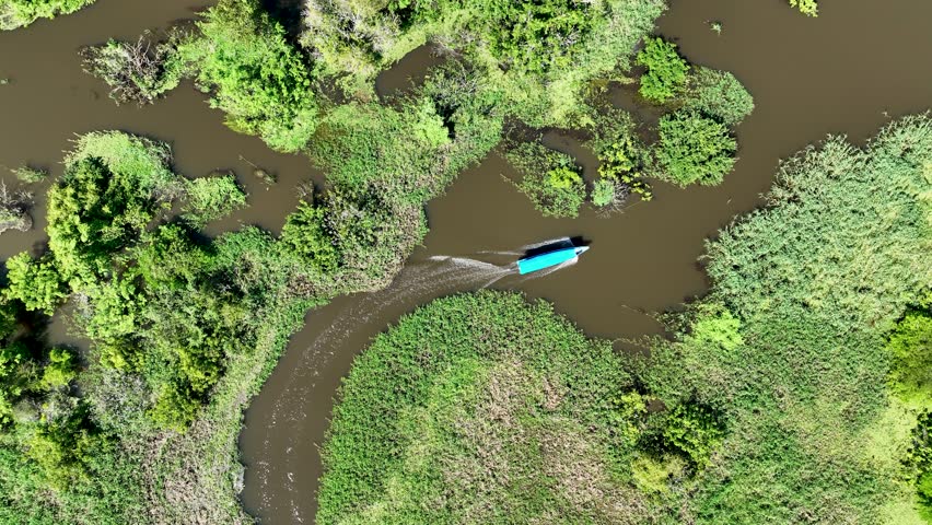 Boat Sailing In Manaus Amazonas Brazil. Boat Sailing In The Summer Landscape Viewed From Above. Guyana River Forest Trees Lake. Jungle Forest Trees Travel. Manaus Amazonas.
