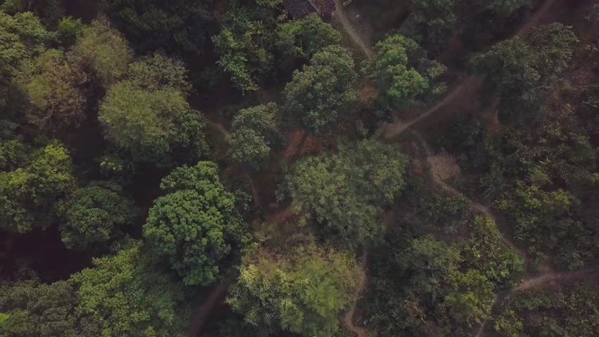 Aerial landscape view of a green field, drone shot of Rural India,	