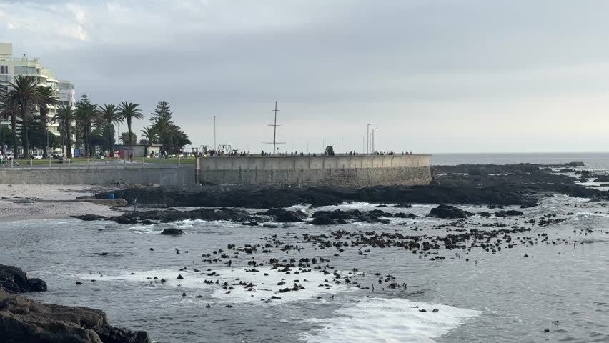 The Sea Point Promenade on a Sunday in Cape Town, South Africa.