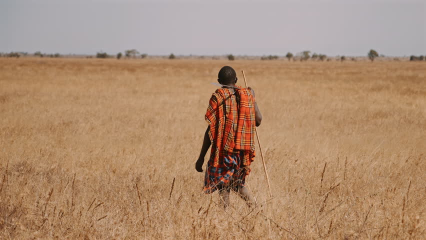 Maasai Warrior Walking Through Savanna