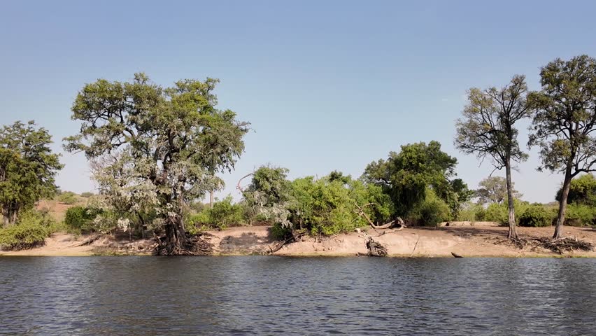 Chobe River In Chobe National Park Kasane Botswana. Wildness Safari Scene Of Game Drive With Big Five Animals. Deserted Outdoor Country Stunning. Deserted Tropical Nature. Chobe National Park Kasane.