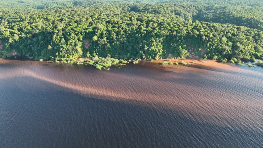 Amazonian Forest In Manaus Amazonas Brazil. River Flowing Through Lush Green Forest Landscape. Guyana River Forest Trees Lake. Jungle Forest Trees Travel. Manaus Amazonas.