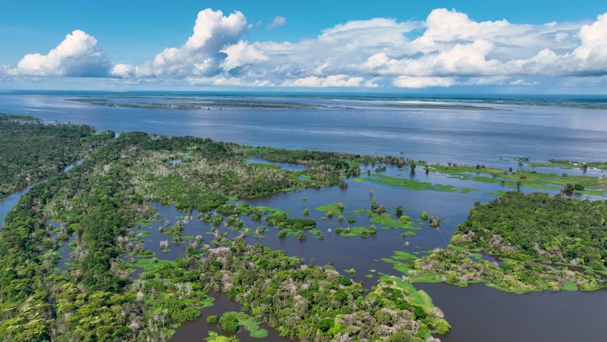 Amazonian Rainforest In Manaus Amazonas Brazil. Amazon Rainforest Showing River Winding Dense Jungle. Colombia River Forest Trees Coast. Forest Trees. Manaus Amazonas.