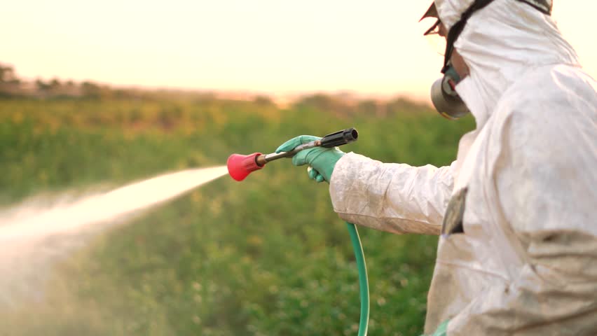 Spray ecological pesticide. Farmer fumigate in protective suit and mask lemon trees. Man spraying toxic pesticides, pesticide, insecticides
