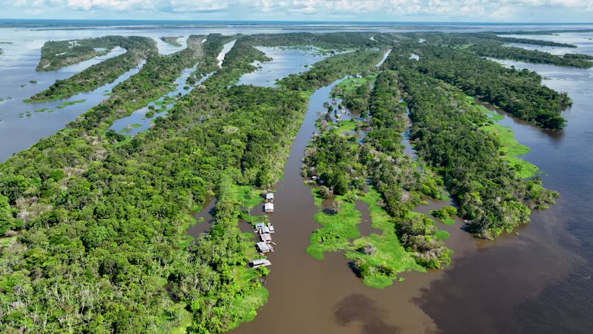 Amazonian Rainforest In Manaus Amazonas Brazil. River Flowing Through Lush Green Forest Landscape. Colombia River Forest Trees Coast. Forest Trees. Manaus Amazonas.