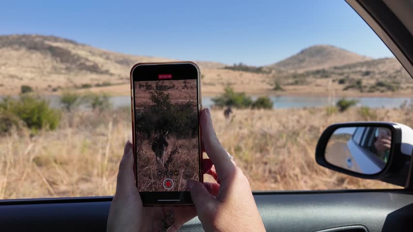 Self-Safari In Pilanesberg National Park North West South Africa. African Big Five Animals In The Stunning Safari. Countryside Dramatic Clouds Rural Field. Countryside Rural Panoramic Sky.