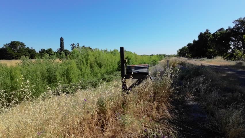 Old abandoned mailbox with weeds panning forward shot 