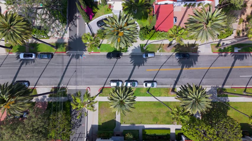 Drone Flight Over Palm-Lined Street in Beverly Hills, California