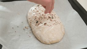 Close-up of a hand adding mixed seeds onto freshly prepared bread dough before baking on a parchment-lined tray. - Powered by Shutterstock - Get 15% off with code: PIKWIZARD15