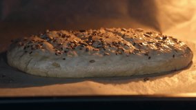 Golden brown whole grain bread loaf rising and baking in oven, topped with seeds, showing warmth and homemade freshness. - Powered by Shutterstock - Get 15% off with code: PIKWIZARD15