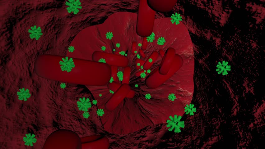 3D animation of uric acid molecules and red blood cells inside a blood vessel.