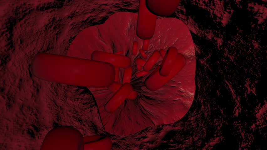 Close Up Blood Cells Flowing Inside Blood Vessel