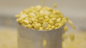 Bengal gram, or splited chickpeas pouring slow motion footage, indian traditional food ingredients, tamilnadu, India  - Powered by Shutterstock - Get 15% off with code: PIKWIZARD15