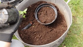 Gardener repotting a mint seedling into a larger pot - Powered by Shutterstock - Get 15% off with code: PIKWIZARD15