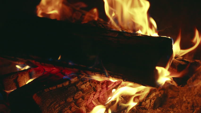 Intense campfire flames blaze at night, with glowing logs, rising smoke, and radiant heat creating a fiery, natural scene of warmth, danger, and beauty in the dark woods
