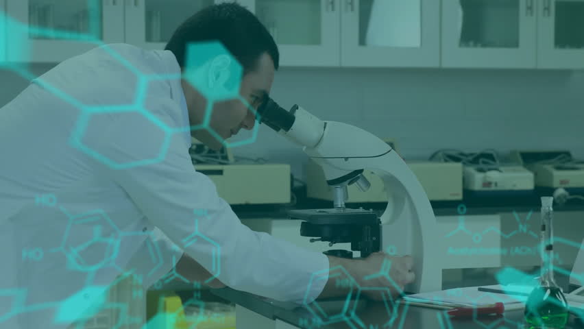 Shutterstock Video
