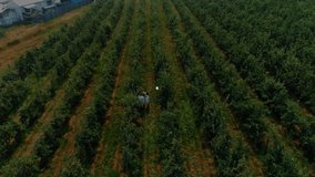 Farm managers walking orchard rows starting data node expanding mesh overlay monitoring crop health. Agriculture, technology, connectivity, precision, innovation, data, environment - Powered by Shutterstock - Get 15% off with code: PIKWIZARD15