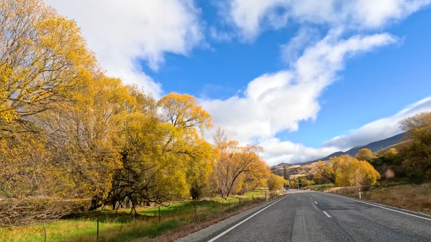 A serene drive along a tree-lined road in Wanaka, New Zealand, showcasing vibrant autumn colors under a bright blue sky