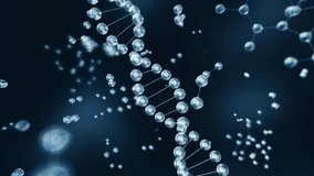 DNA Animation of Strand on Medical Black Background. 3d Futuristic Science Glowing DNA Helix. Abstract Blue Cells in Biotechnology Concept in Laboratory Research. Motion Graphic of Human Genome 4k - Powered by Shutterstock - Get 15% off with code: PIKWIZARD15