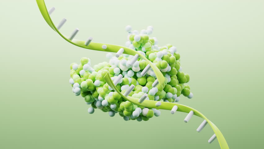 Biological organic protein structure, 3d rendering. Motion graphic.