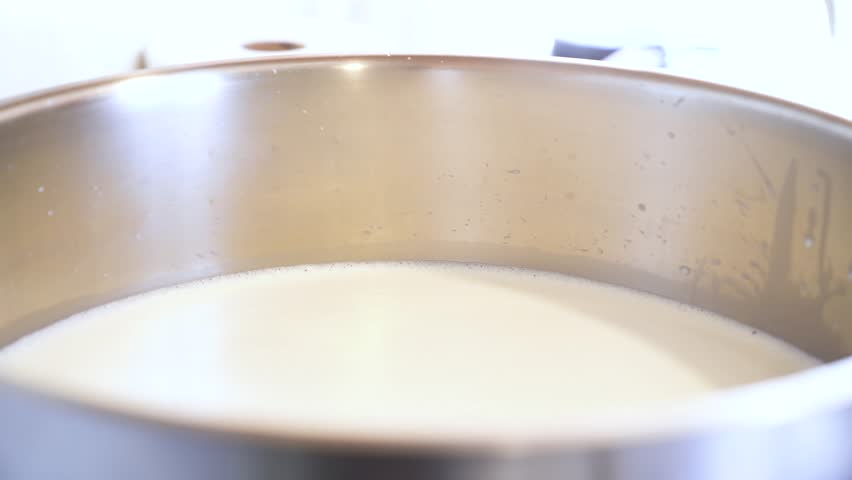 Goat Milk is Being Poured Into a Large Pot to Begin the Cheese-making Process - Close Up