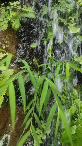 A snapshot of the beauty of a waterfall in a park during the rain.