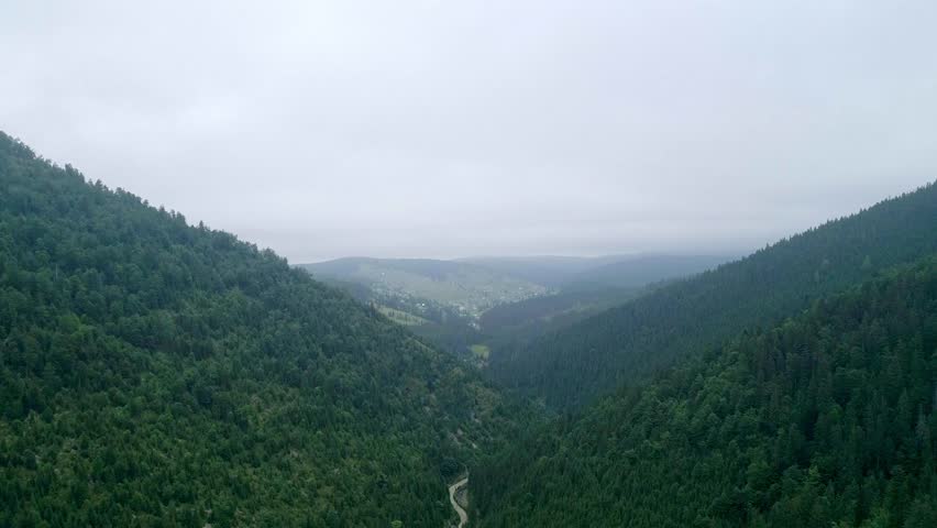 Large green wood trees top of view mountain hill, aerial top view landscape, nature woodland