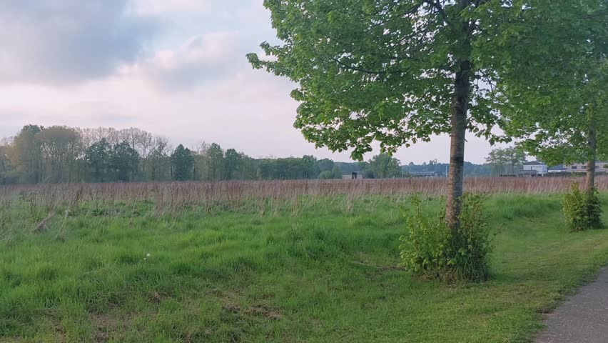 Rural landscape in early spring with fresh greenery
