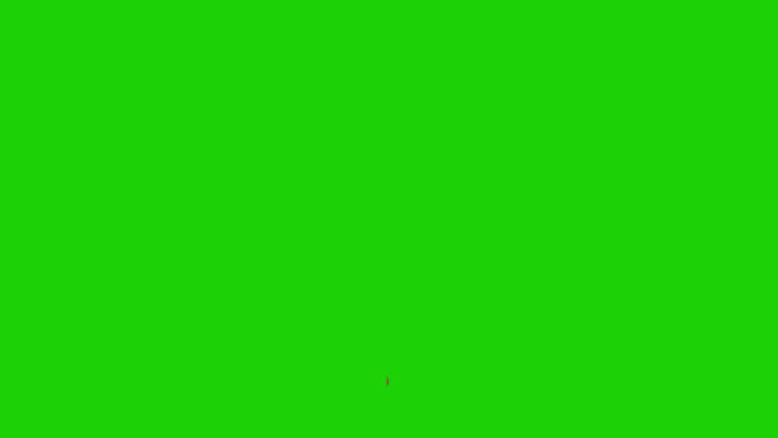 animation get new follower,like and comment notification on green screen for social media