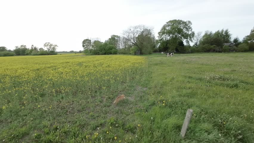 An aerial view of abondoned countryside