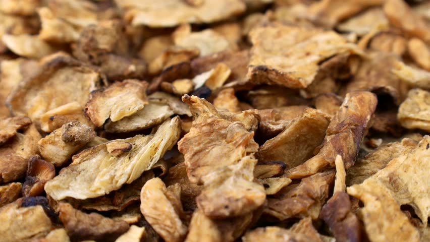 Brown dried chicory root slices circle rotation close up