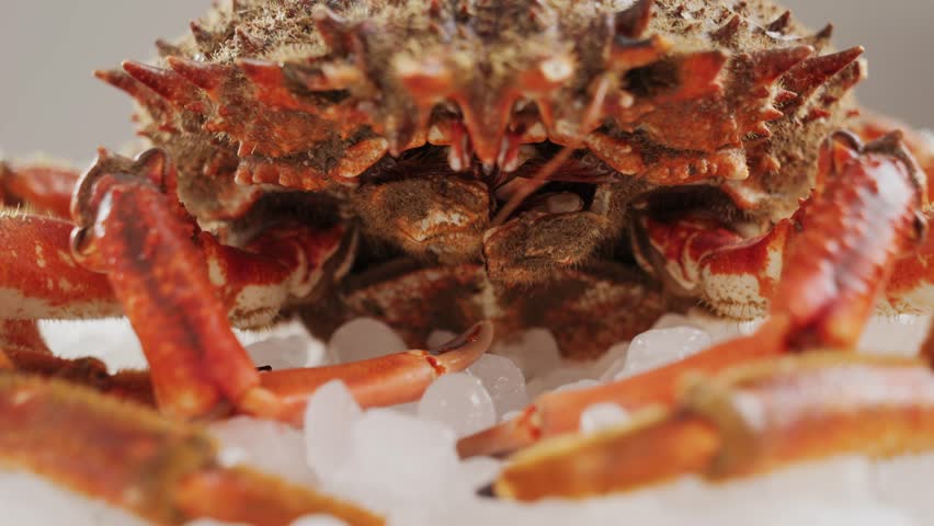Cooked crabs on ice plate served in restaurante, black slate background, top view.