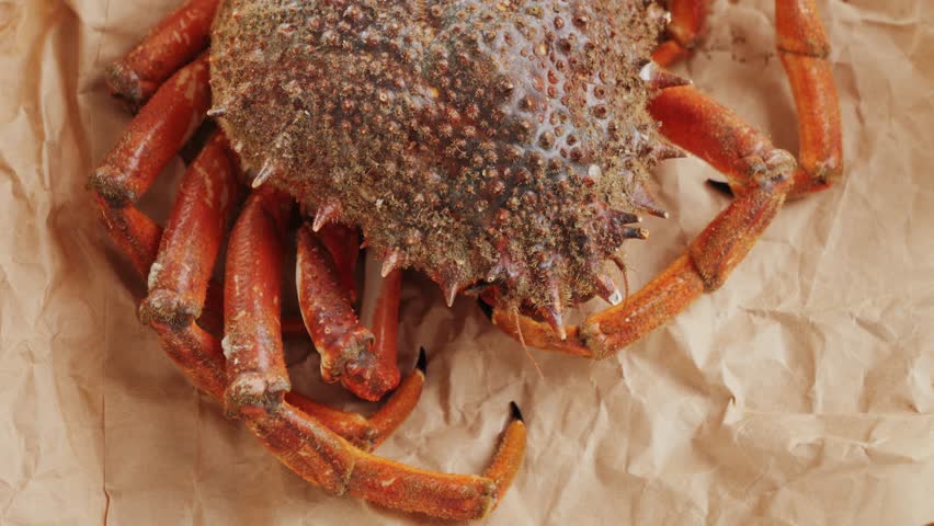 Cooked crabs on ice plate served in restaurante, black slate background, top view.