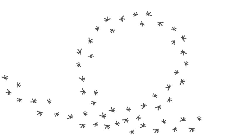 Footprints of Gecko, Traces of a Reptilia. Iguana or lizard foots  along the path. Footprints walking Reptilia on a trajectory of movement. Animation of  Paw trail prints of Gecko on white background.